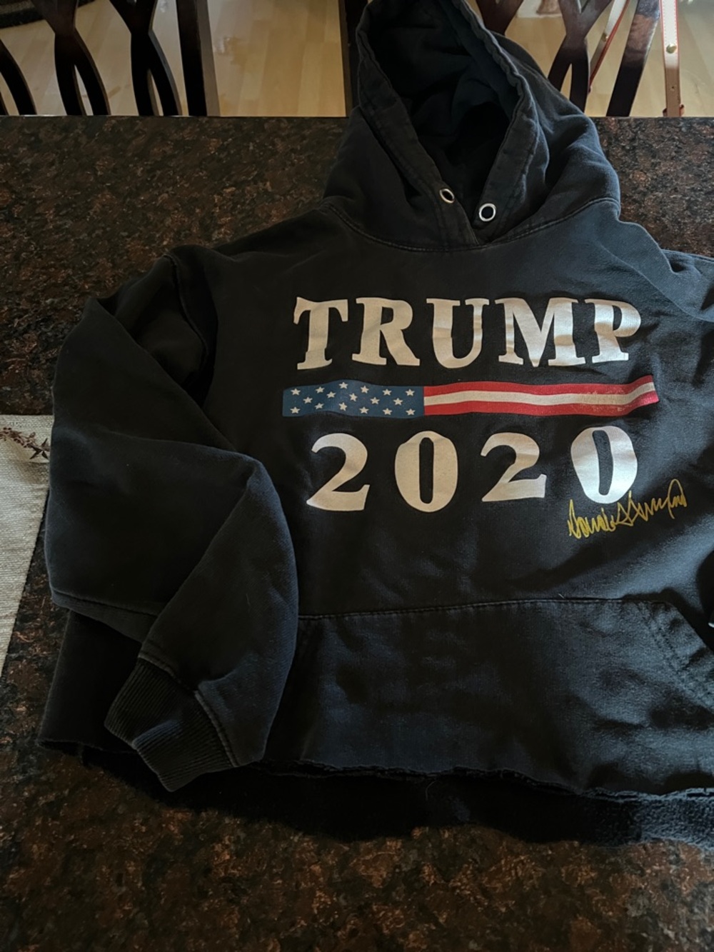 Trump 2020 Graphic Hoodie in Black with Patriotic Accents - Picture 3 of 3